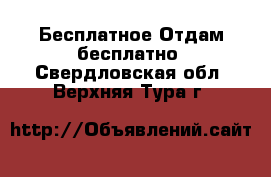 Бесплатное Отдам бесплатно. Свердловская обл.,Верхняя Тура г.